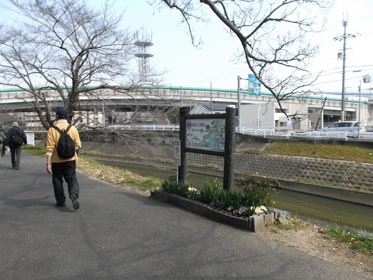 035-17.jpg
