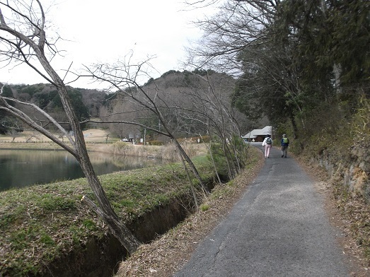 054-17.jpg