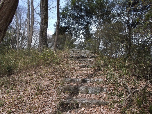 061-17.jpg