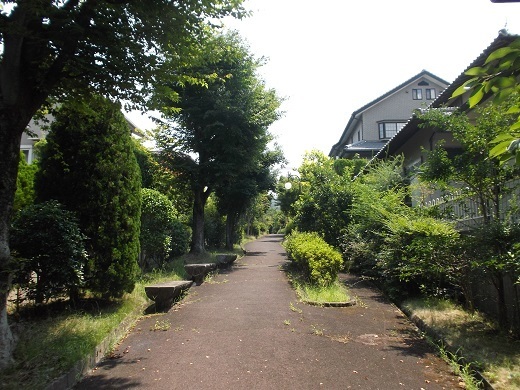 007-520.jpg