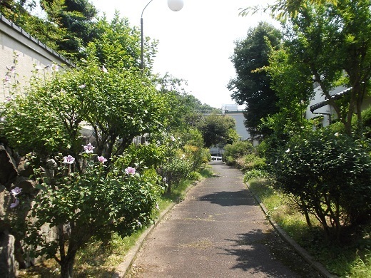 009-520.jpg