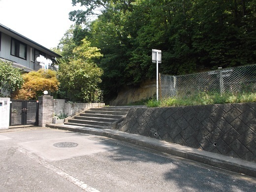011-520.jpg