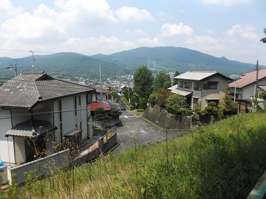 013-520.jpg