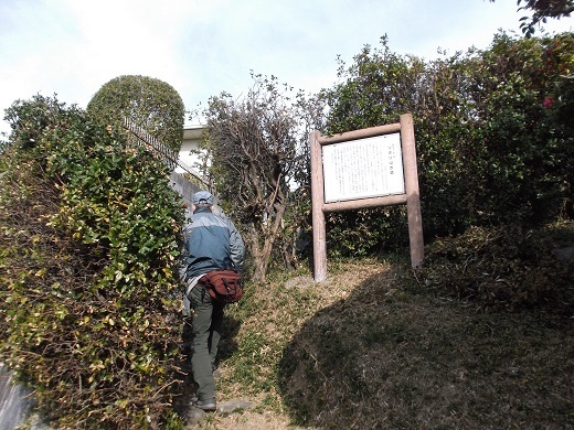 014-520.jpg