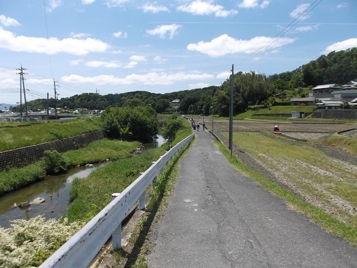 017-520.jpg