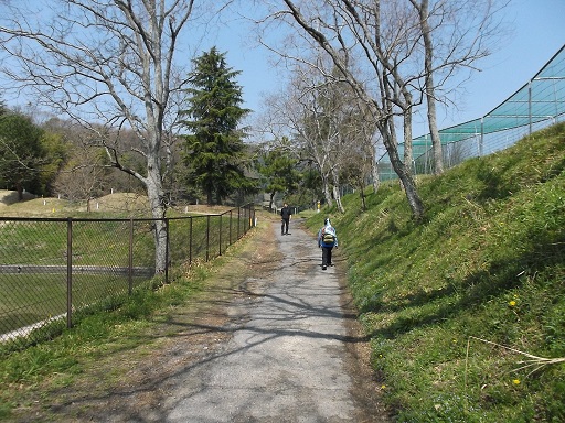 018-25.jpg