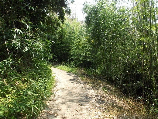 019-520.jpg