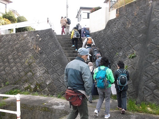 021-520.jpg