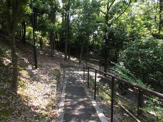 026-520.jpg