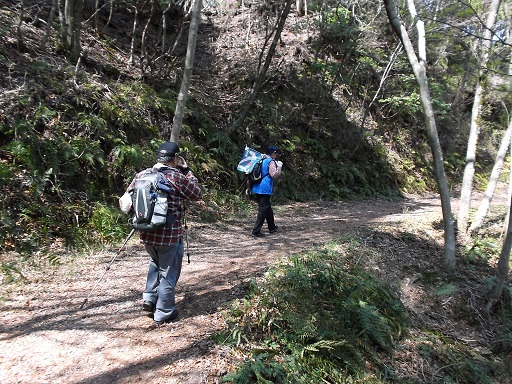 035-25.jpg