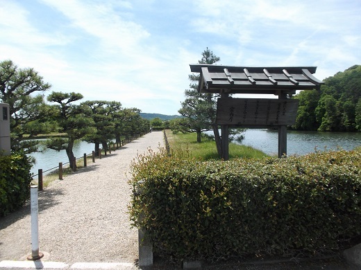 041-520.jpg