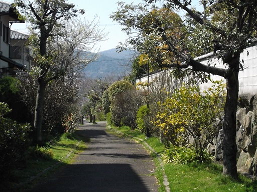 056-25.jpg