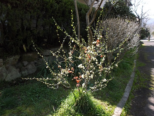 057-25.jpg